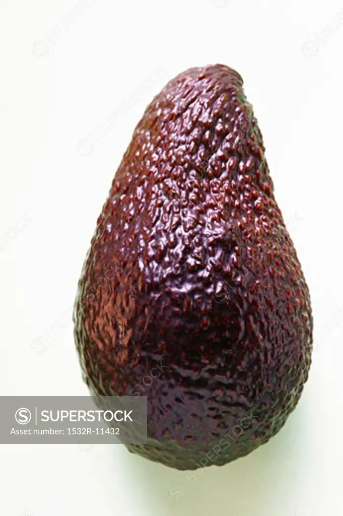 Avocado (1)