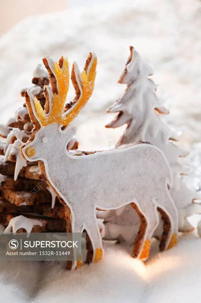 Chocolate stag biscuit in winter forest (2)