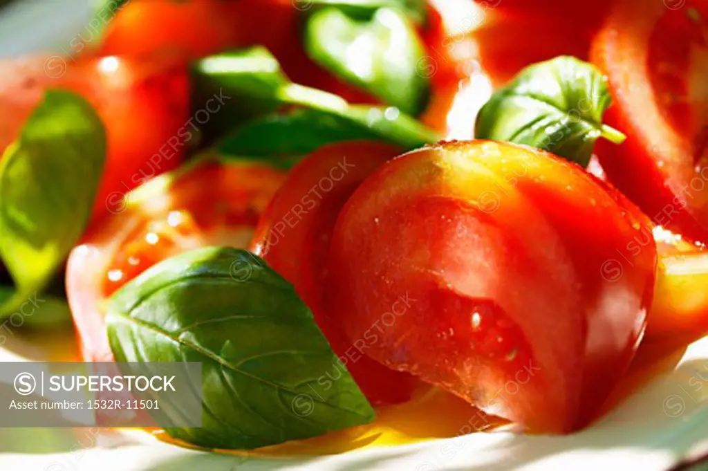 Tomatoes with fresh basil