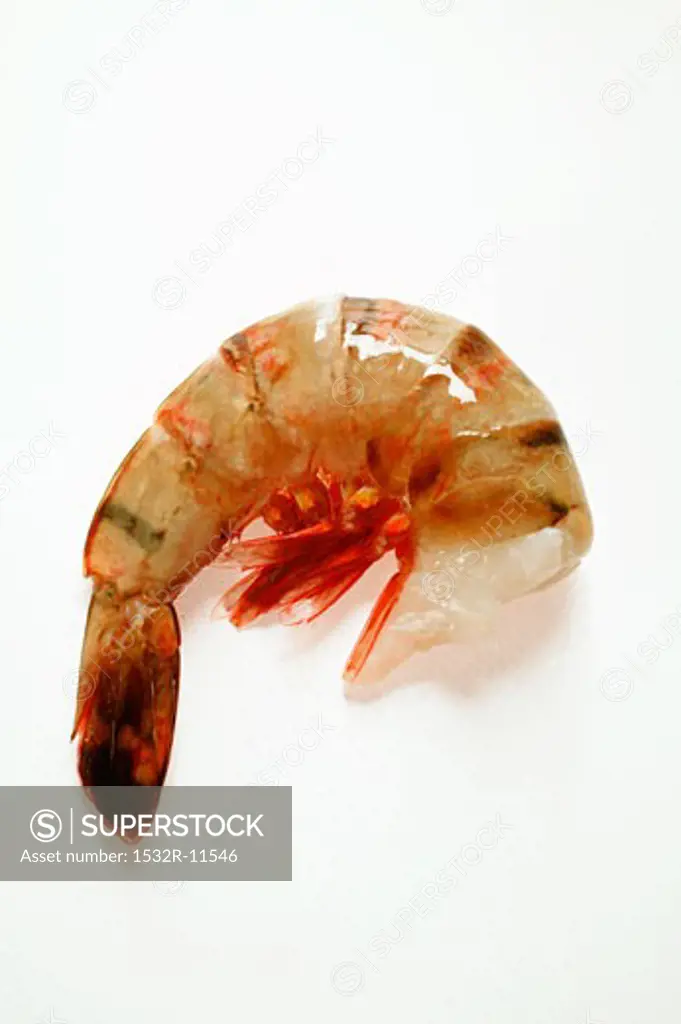 Fresh shrimp without head (1)