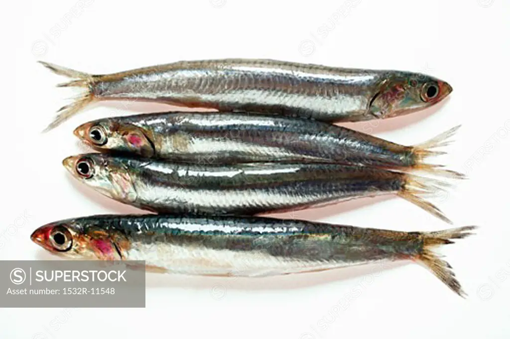 Fresh sardines (3)