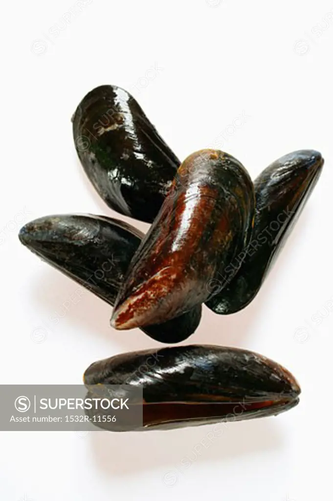 Fresh mussels (3)