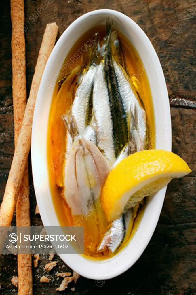 Marinated sardines with lemon and grissini