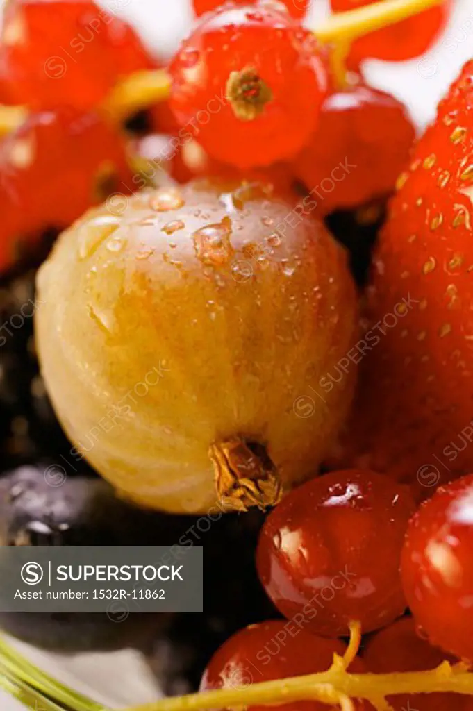 Assorted fresh berries (close-up)