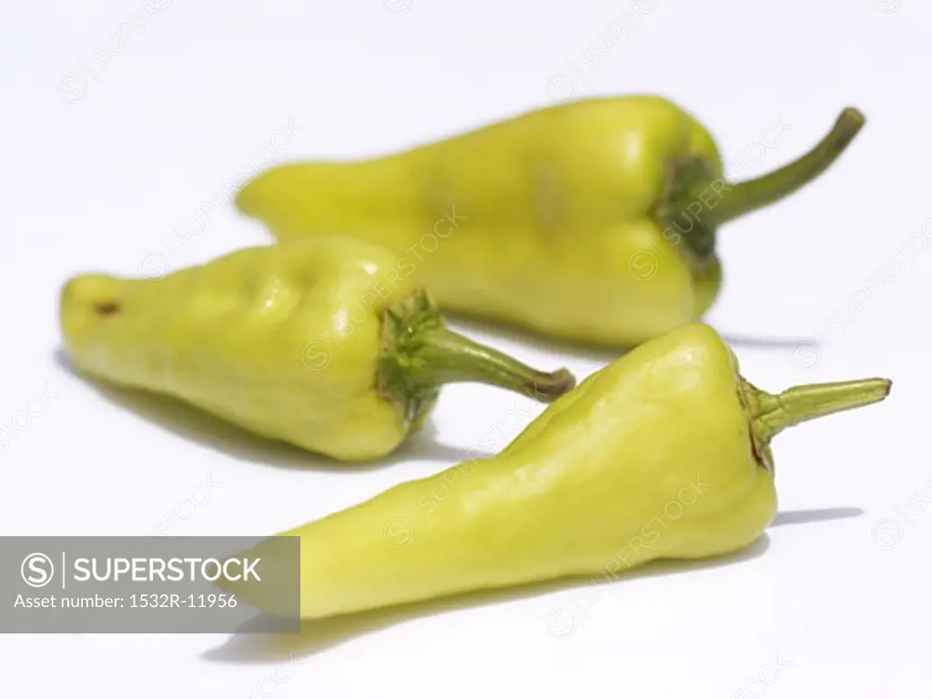 Three Pale Green Chili Peppers
