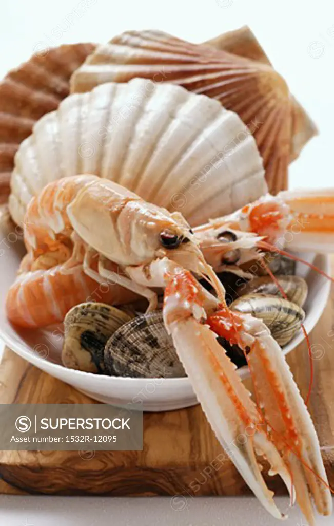 Scampi and shellfish in white dish
