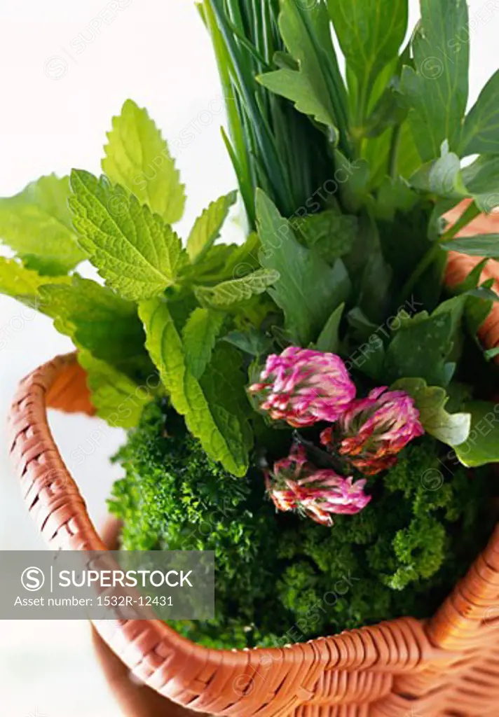 Various fresh herbs in a basket