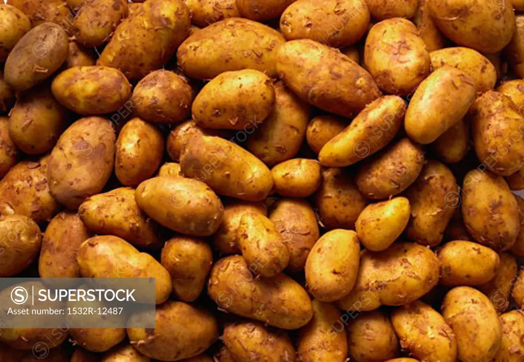 Italian Sieglinde potatoes (close-up)