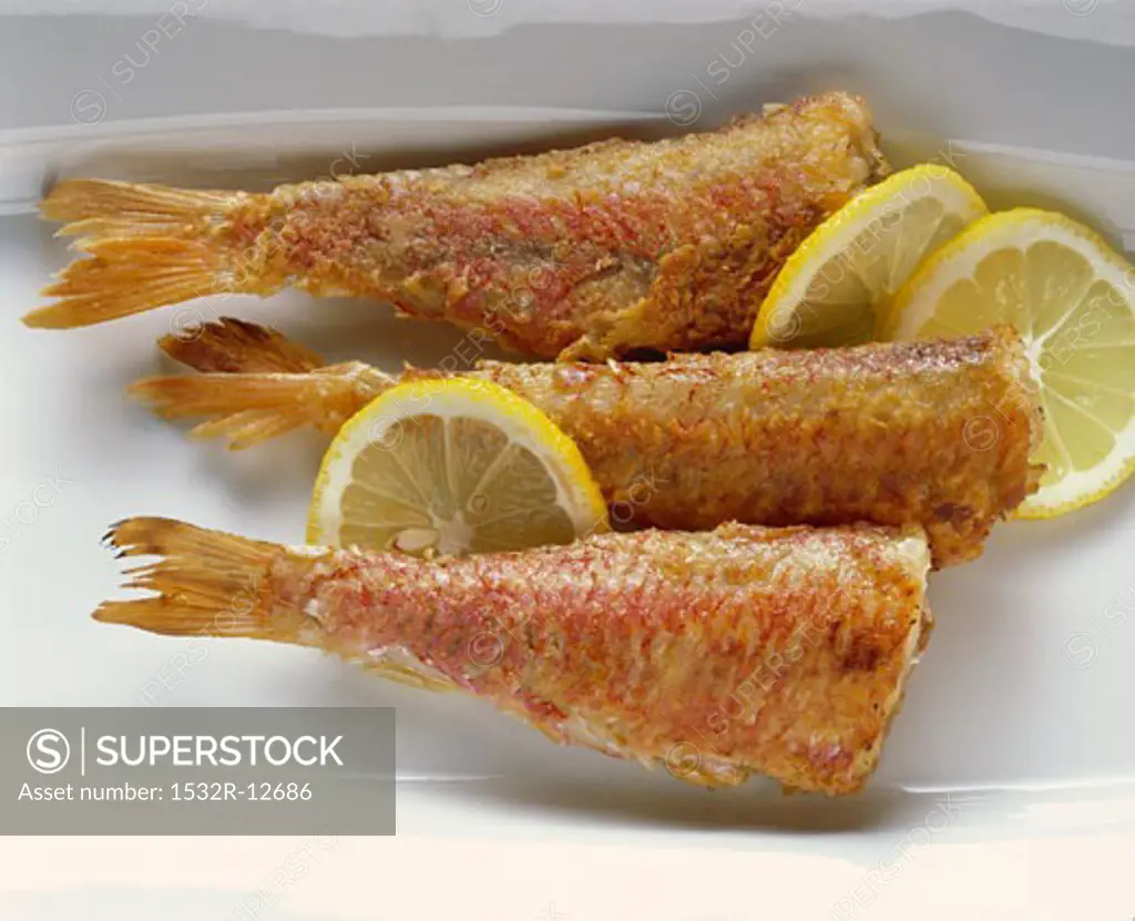 Roasted red mullets with lemon slices