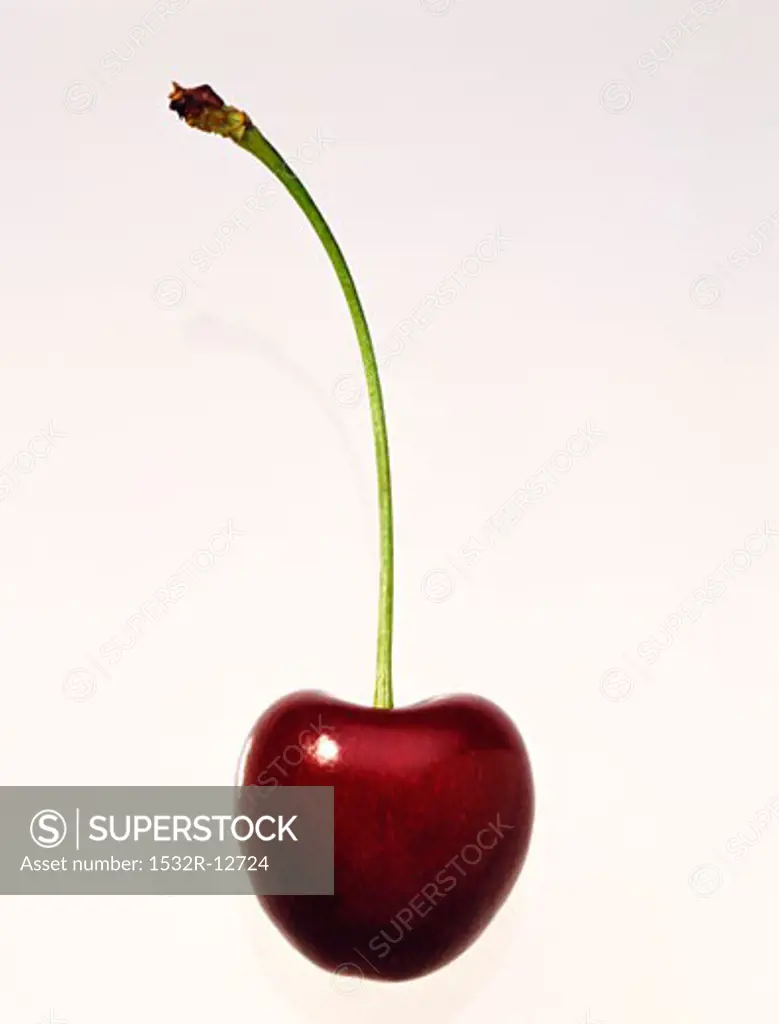A cherry against a white background