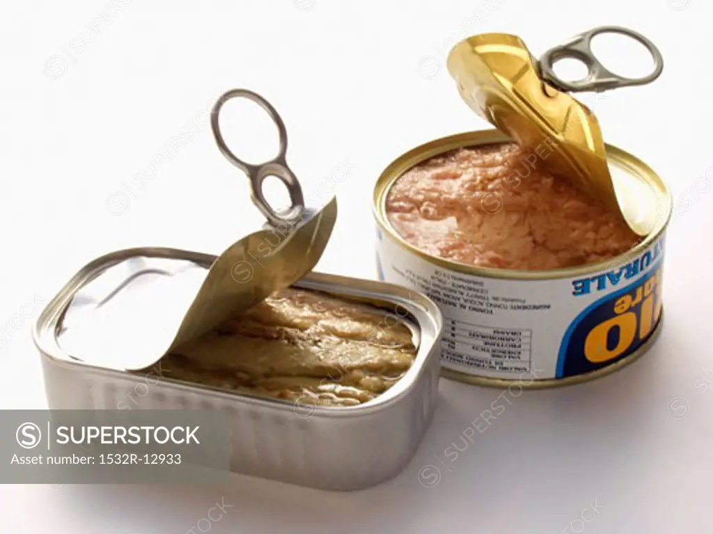 A Can of Tuna and a Can of Sardines