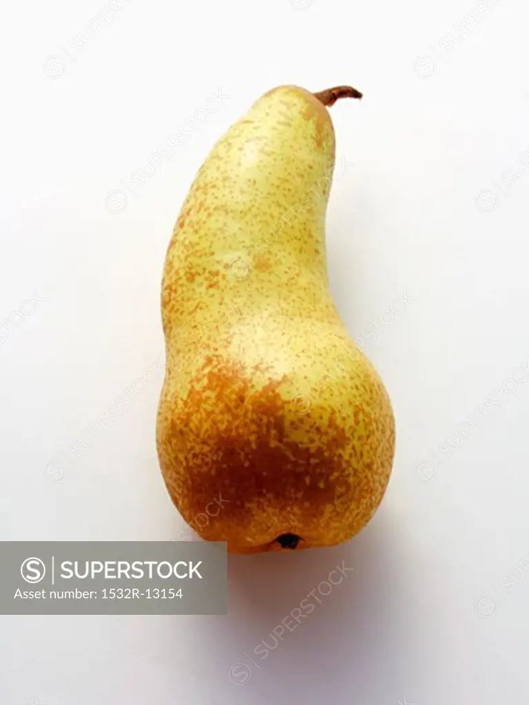 A Bosc Pear