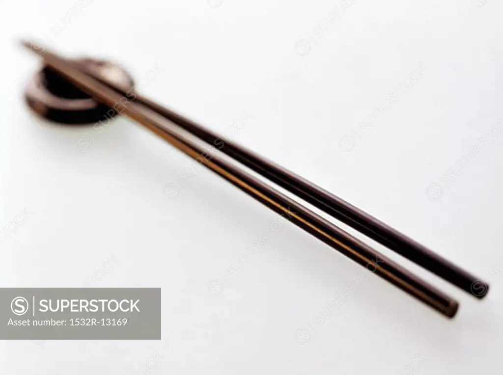 Chopsticks with Holder