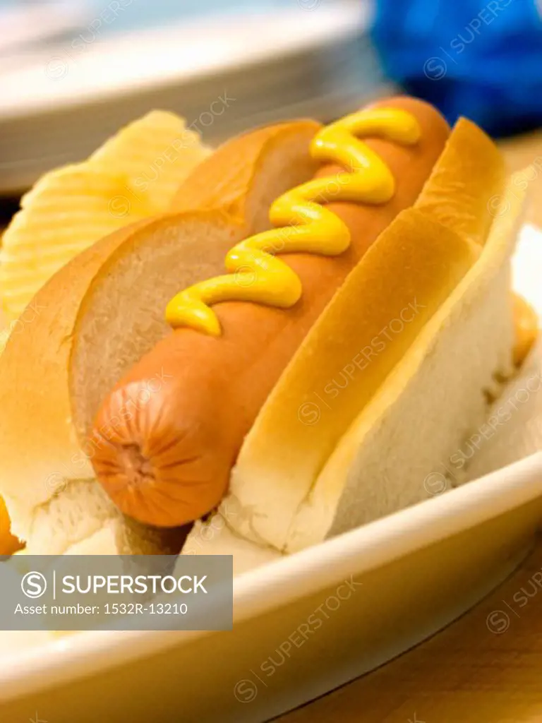 A Hot Dog in a Bun with Mustard on a Plate