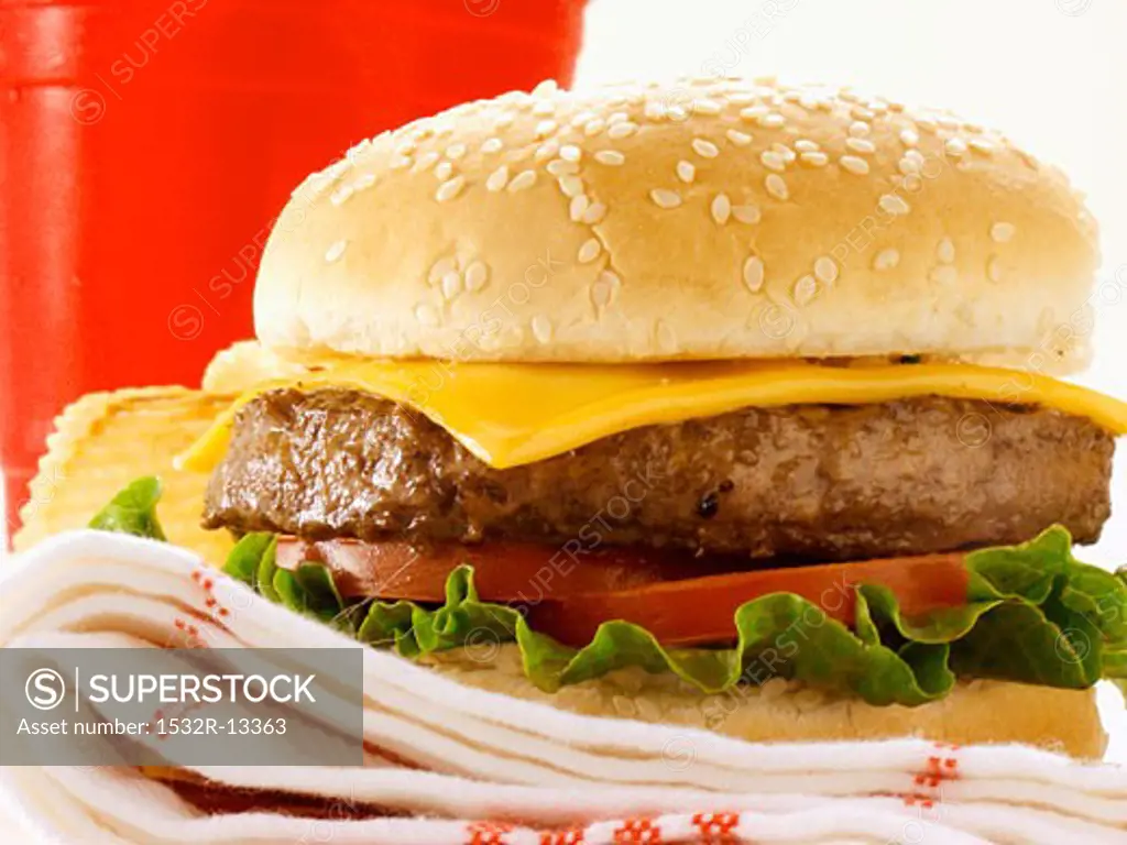 A Cheeseburger on a Dishcloth