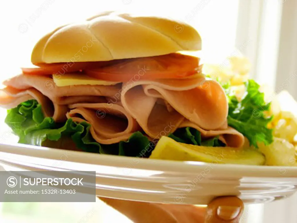 A Hand Holding a Plate with a Ham Sandwich on a Kaiser Roll