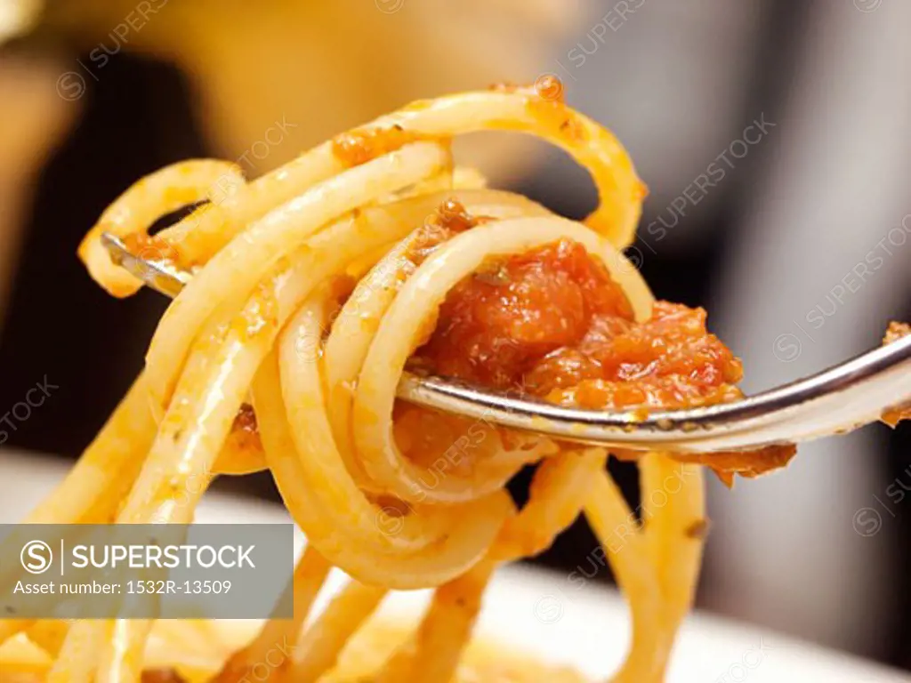Spaghetti with Meat Sauce on a Fork