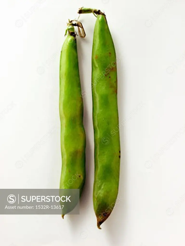 Two Broad Beans