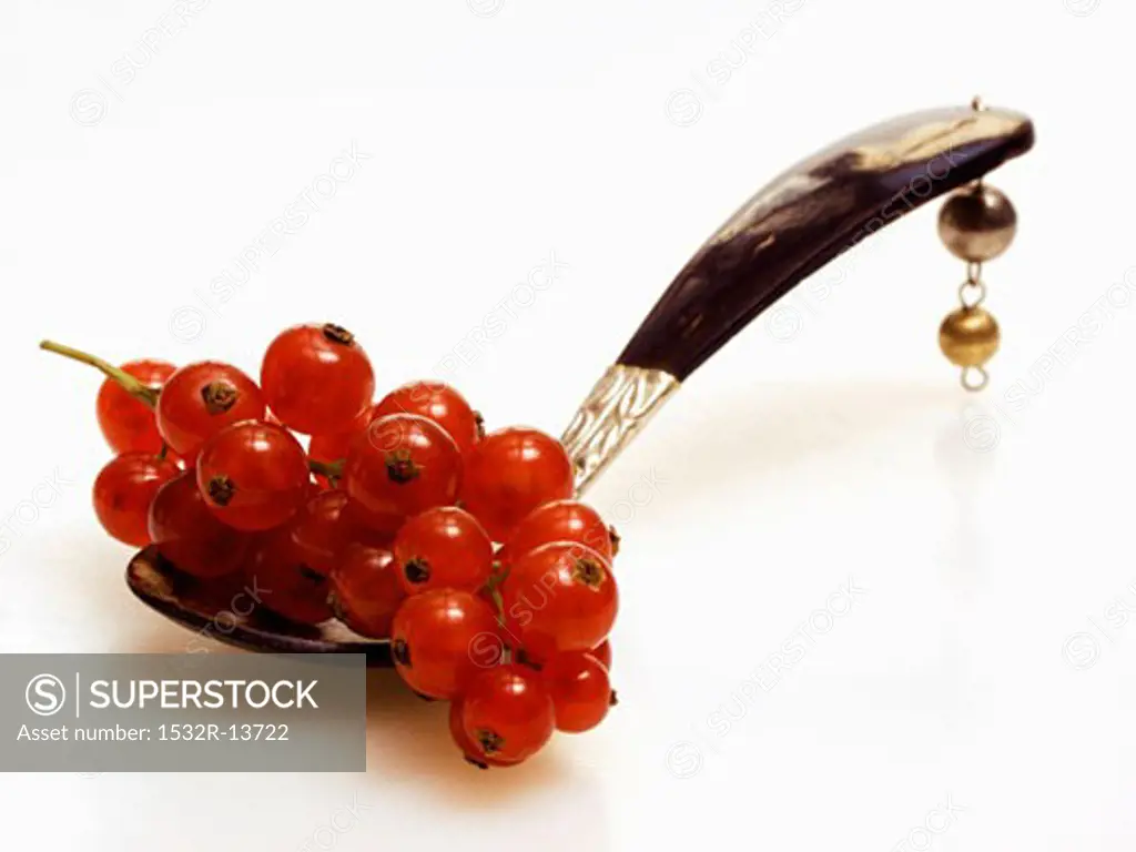 Red Currants on a Spoon