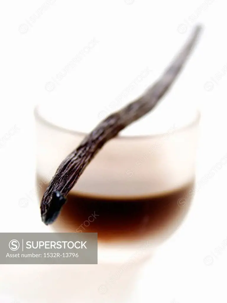 Vanilla Bean with a Dish of Vanilla Extract