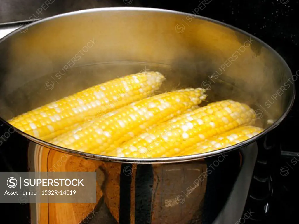 Corn Cooking in a Pot with Water