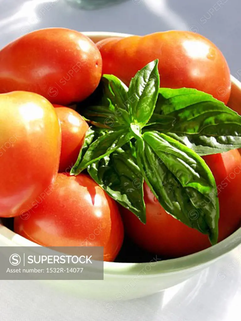 Tomatoes in a Bowl with Basil