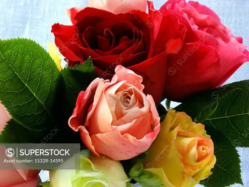 Bouquet of roses