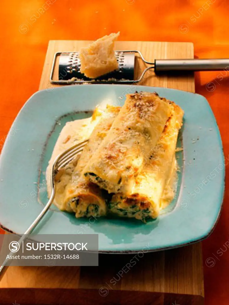 Cannelloni with cheese sauce, parmesan