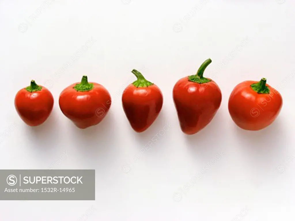 Hungarian cherry chili peppers