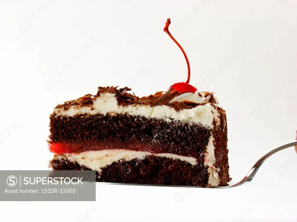 Piece of Black Forest cherry gateau on cake slice