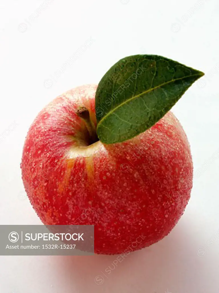 Red apple with stalk, leaf and drops of water