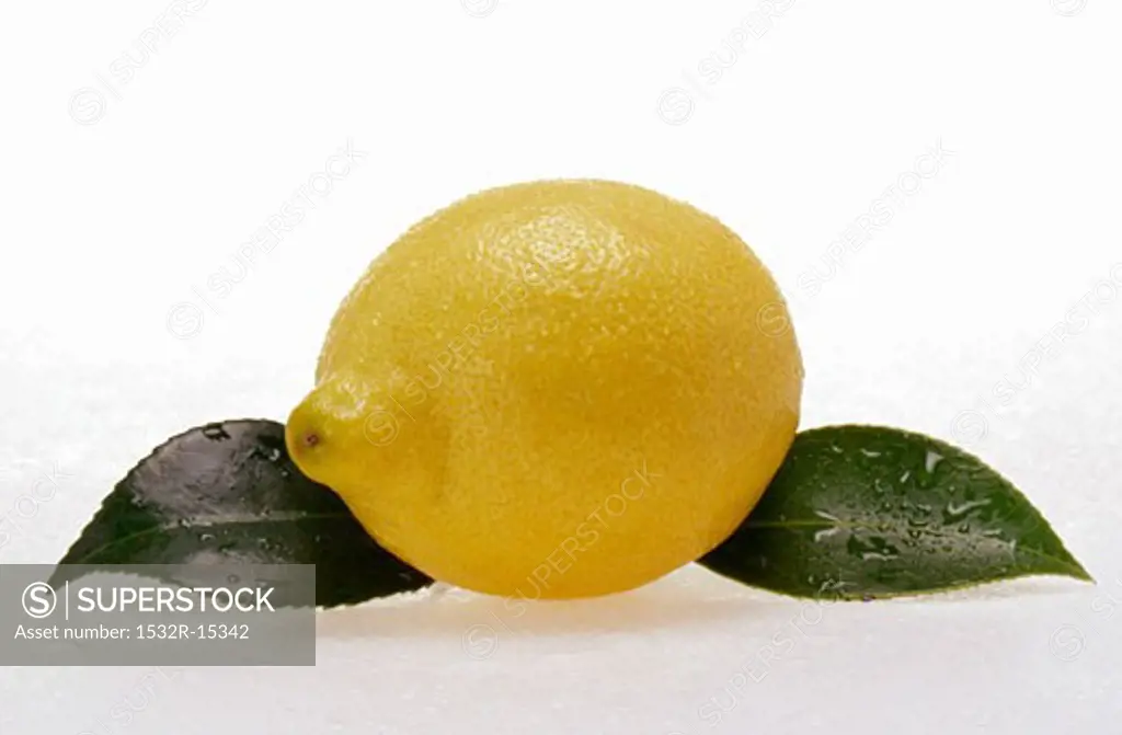 Lemon with leaves and drops of water