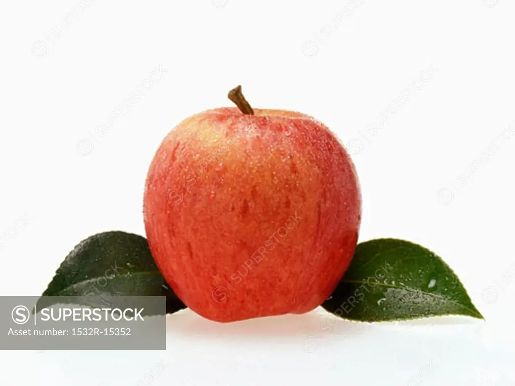 Red apple with leaves and drops of water