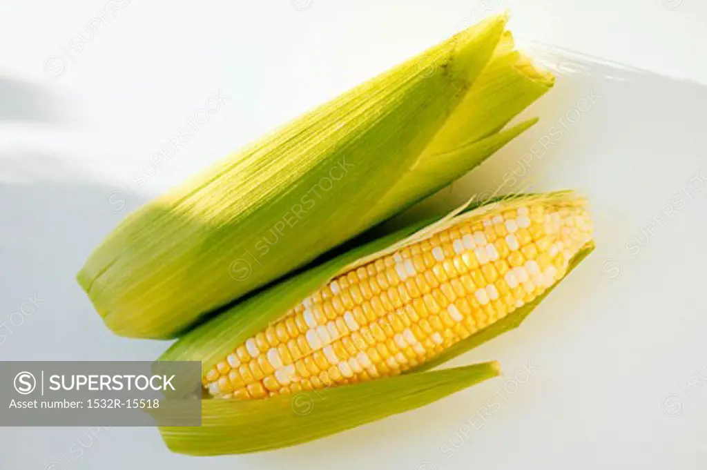 Two corncobs