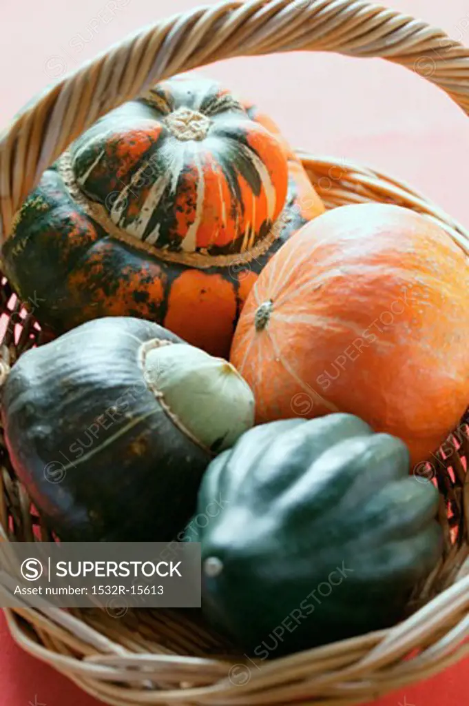Various squashes in basket