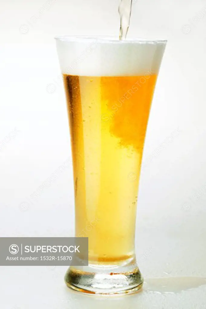 Pouring lager