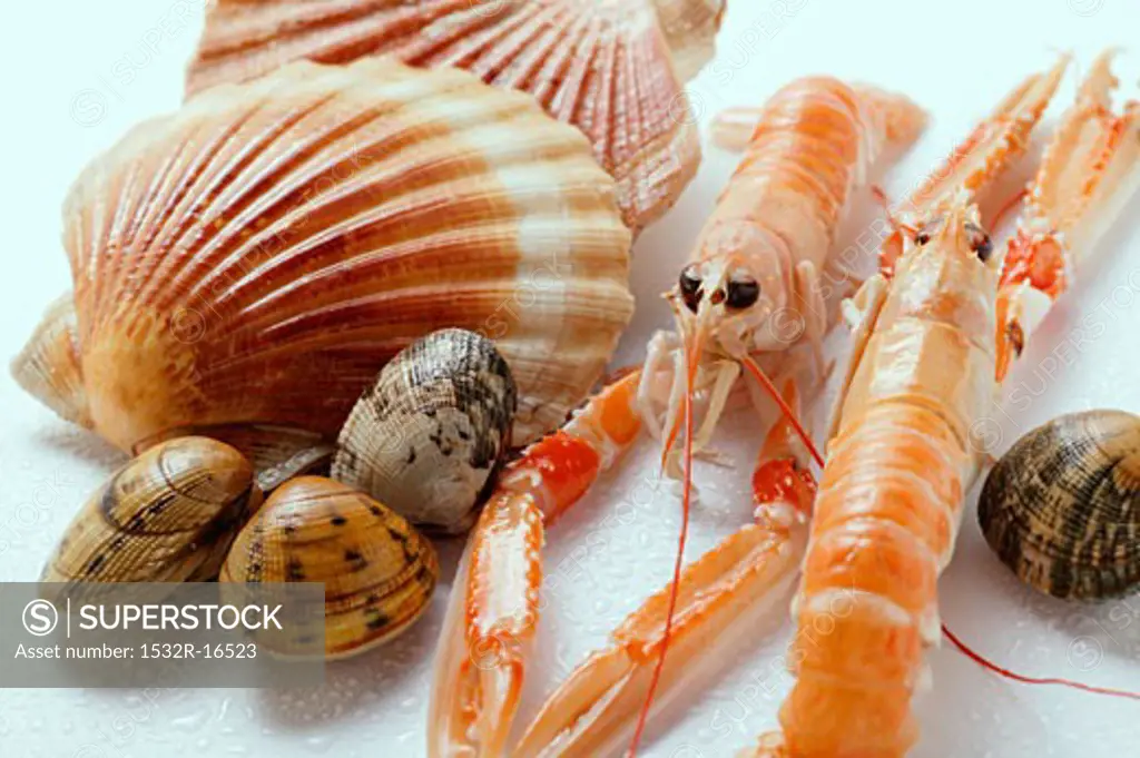 Scampi and shellfish