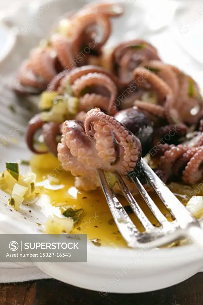 Octopus in olive oil