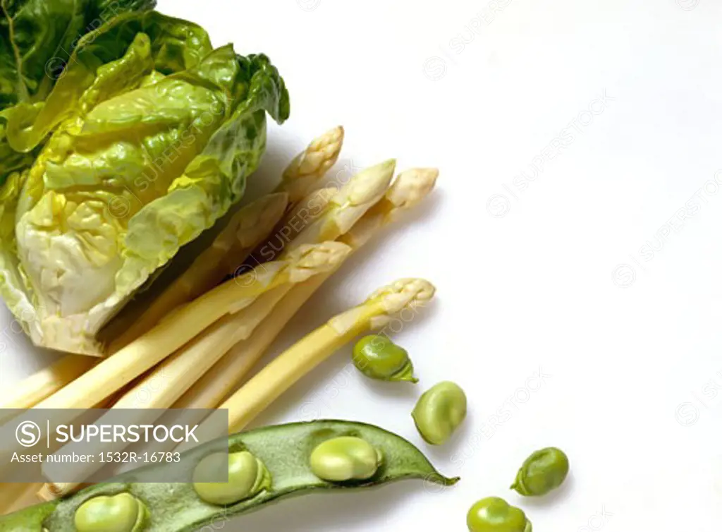 Butterhead Lettuce, Asparagus & Thick Beans