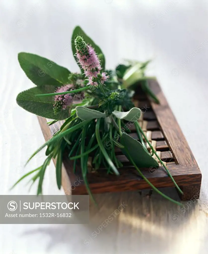 Still life with mixed herbs on a wooden bench