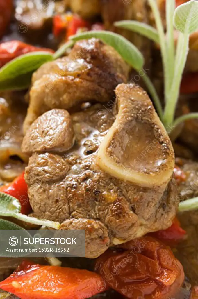 Osso buco with tomatoes and sage (close-up)