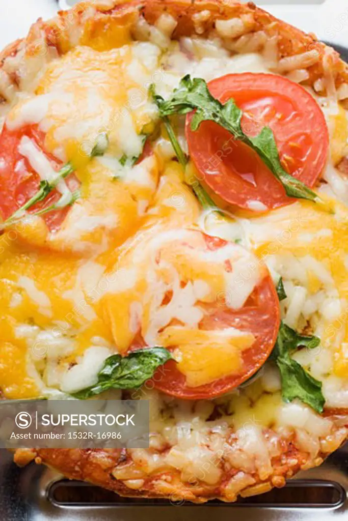 Mini-pizza with tomato, cheese and rocket