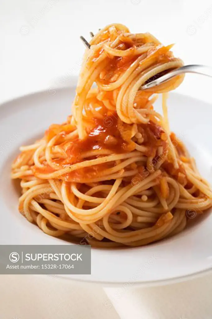 Spaghetti with tomato sauce wrapped around a fork
