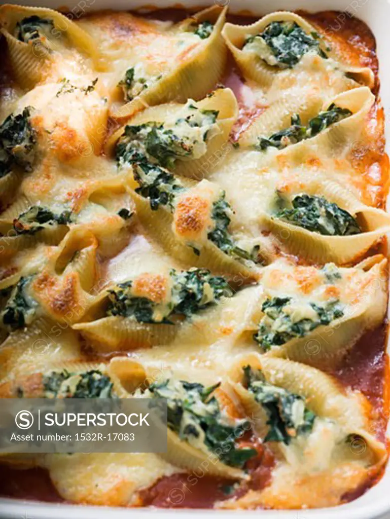 Gratin of pasta shells with spinach and mozzarella