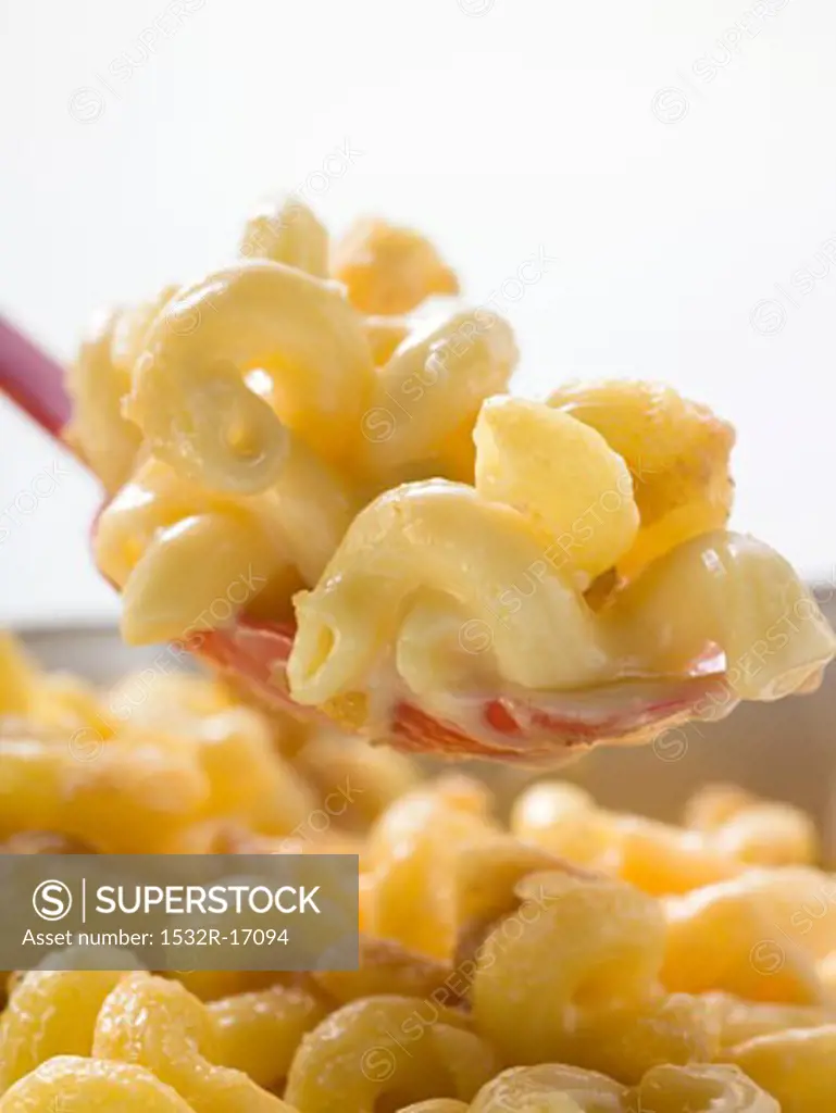 Macaroni cheese on a spoon