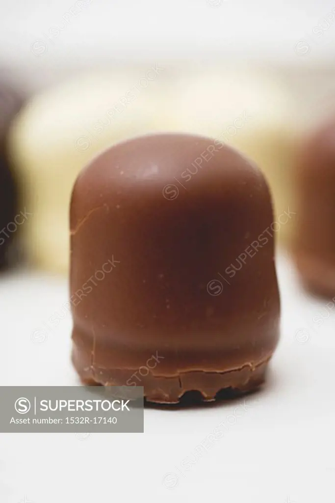 A mini-Dickmann (chocolate-covered marshmallow on wafer base)