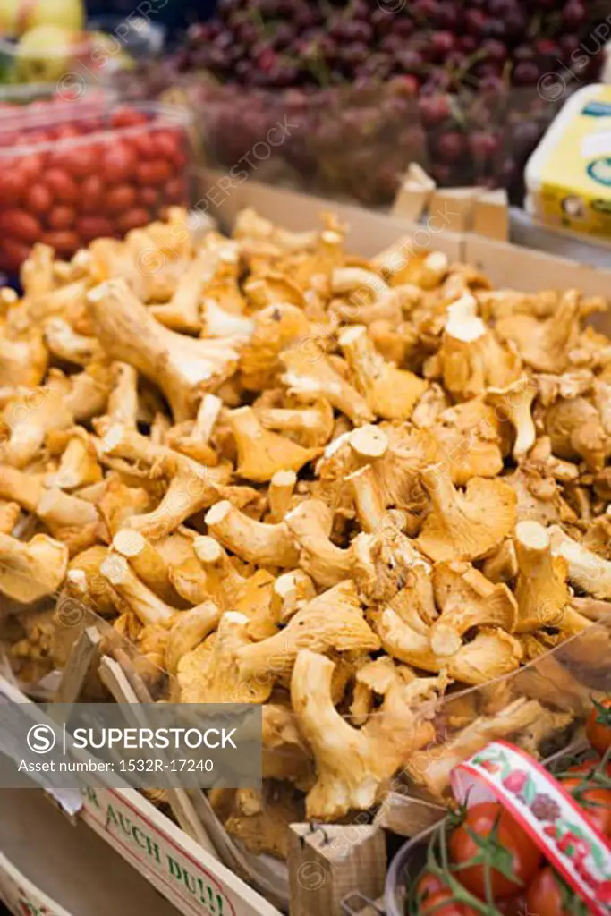 Fresh chanterelles in a crate at a market