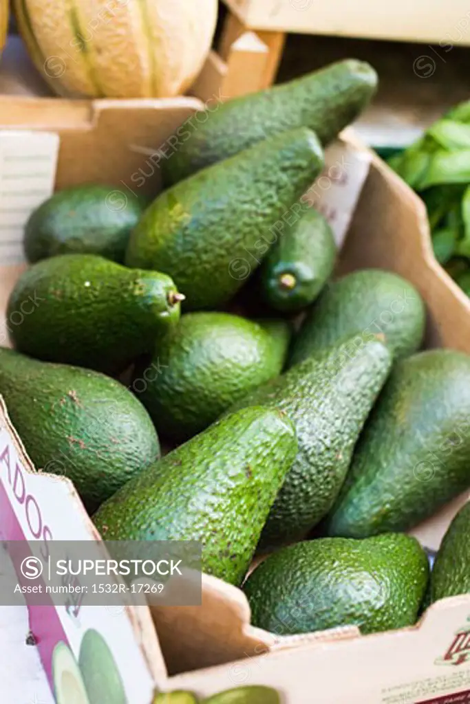 Avocados in a crate at a market