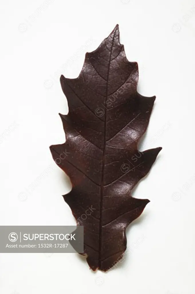 A chocolate leaf