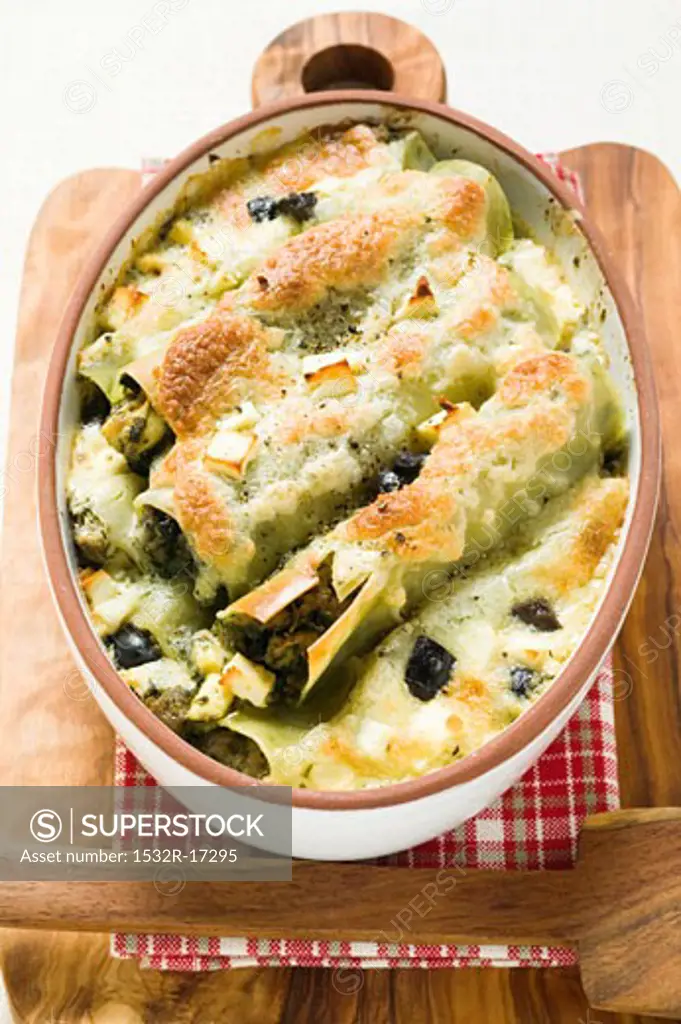 Cannelloni with spinach & sheep's cheese filling in dish